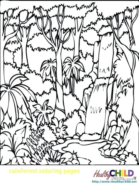 Free Rainforest Coloring Pages At Free Printable