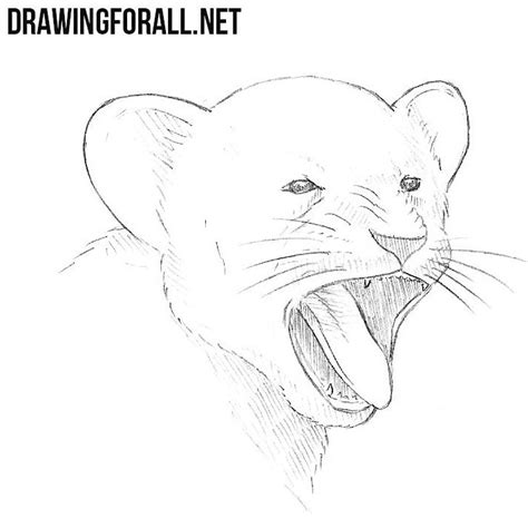You have just learned how to draw an anime lion step by step. How to Draw a Yawning Lion Cub | Drawingforall.net