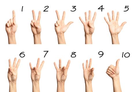 Sign Language Numbers Images Browse 30 791 Stock Photos Vectors And