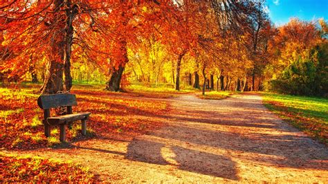 25 Fall Wallpapers Backgrounds Images Pictures