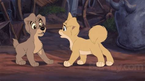 Scamp And Angel From The Lady And The Tramp Ii Scamps Adventure
