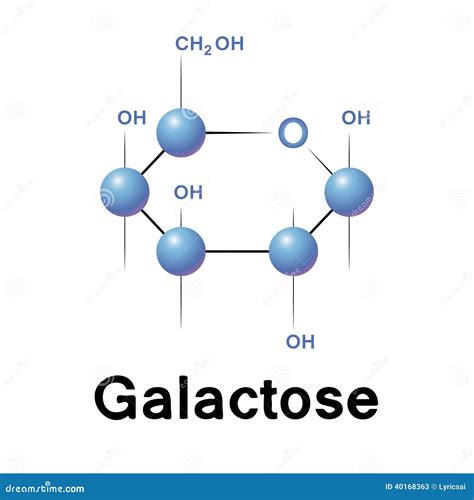 Galactose Illustration De Vecteur Illustration Du Vecteur 40168363