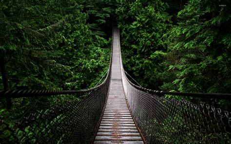 Bridge Lost In The Green Forest Wallpaper Photography Wallpapers 53437
