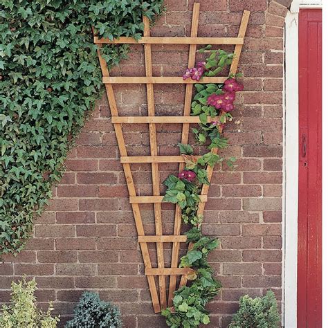 Ten dollars and two hours later you'll be wishing you had more vines. Expanding Bamboo Trellis Hmm Wm Departments Metal Garden ...