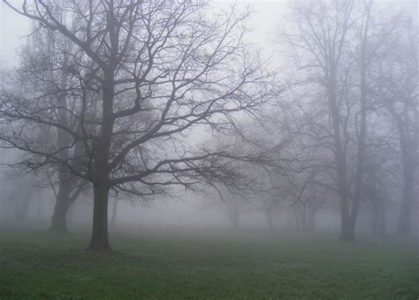 Foggy Morning Explore 14042012r Thank You Halina P Flickr