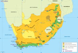 South Africa Vegetation Map EPS Illustrator Map Vector World Maps