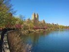 Jacqueline Kennedy Onassis Reservoir by RT | Central park, Jacqueline ...