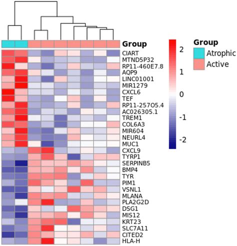 Heatmap Plot Of Top 30 Differentially Expressed Genes From The
