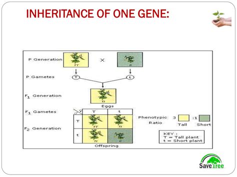 Class 12 Biology Chapter 5 Principles Of Inheritance And Variation
