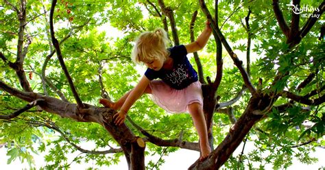 Kid Climbing A Tree Playo