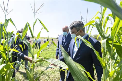 Azerbaijan Starts Use Of Drones In Agriculture