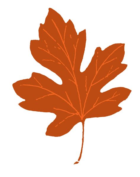 Leaf Clip Art Free Download Clip Art Free Clip Art On Clipart Library