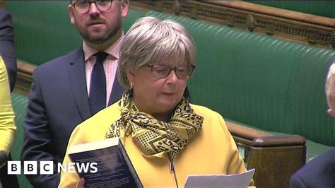 Mp Marion Fellows Says Parliamentary Oath In Scots Bbc News
