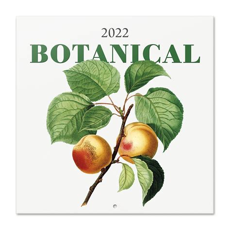 Buy Official Botanical 2022 Wall 2022 12 X 12 Square Wall 2022