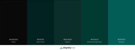 10 Black Color Palette Inspirations With Names And Hex Codes Inside Colors