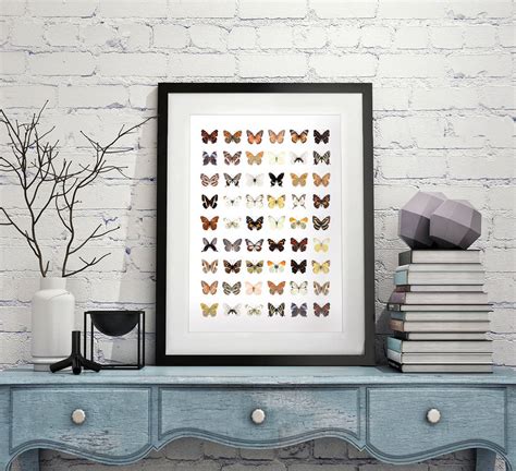 Colour Butterflies Unframed Art Home Print By Over And Over