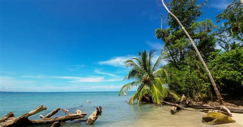 Cahuita National Park Snorkelling And Hike With Sloth Sanctuary Musement