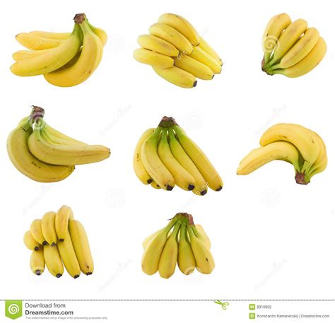 Collection Of Bananas Cluster Stock Photo Image Of Yellow Group