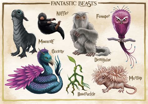 Fantastic Beast Sheet By Angelaxiii On Deviantart