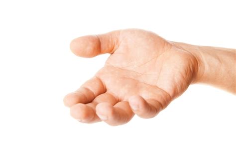 Premium Photo Open Palm Hand Gesture Of Male Hand Isolated On A