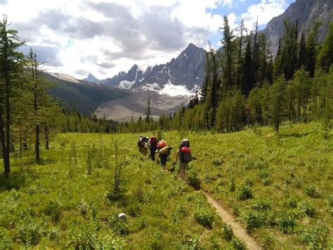 Best price and money back guarantee! Field Trips - Nature Vancouver