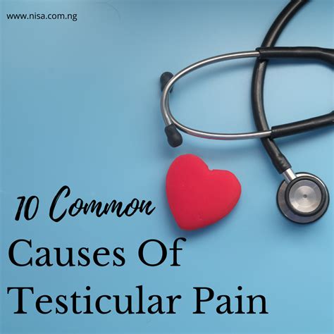 10 Causes Of Testicular Pain Nisa Premier Hospital