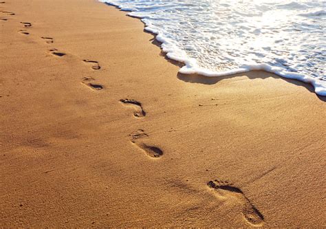 Footprints In The Sand HD Wallpapers - Wallpaper Cave