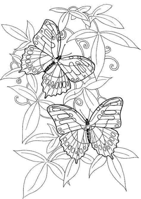 Free printable small butterflies template and coloring pages. Get This Adult Coloring Pages of Butterfly Printable 9ghj6