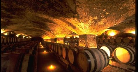 Essential Dijon Wine Tour Grape Escapes Wine Tours