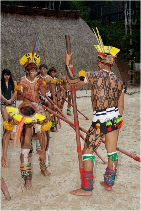 Mg1243 Kuikuro Indians From Xingu During A Performance At Toca Da Raposa São Paulo Brazil