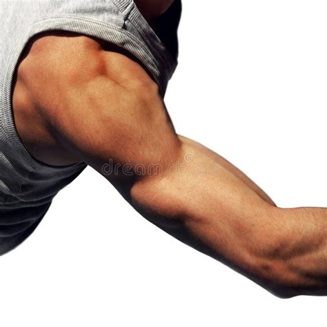 Muscular Man Flexing His Biceps Stock Photo Image Of Look Male 6871936