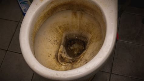 Dirty Public Restroom Bilder Durchsuchen 16919 Archivfotos
