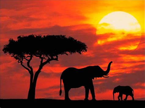 High Definition Wallpaper Club: African Sunset Wallpapers