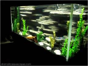 Dramatic AquaScapes DIY Aquarium Background Chad Fromme in the 