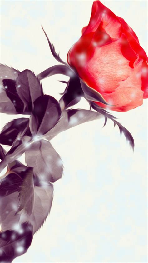 Download Wallpaper Rose Flower 1242x2208