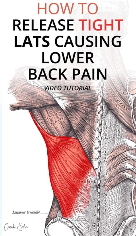 Effective Latissimus Dorsi Lats Pain Release Technique Coach Sofia