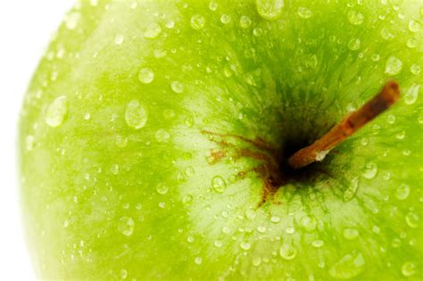 Maybe you would like to learn more about one of these? PhytoCellTec™ Malus Domestica Hair | Mibelle Biochemistry