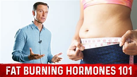 Fat Burning Hormone 101 Weight Loss Basics Explained By Drberg Youtube