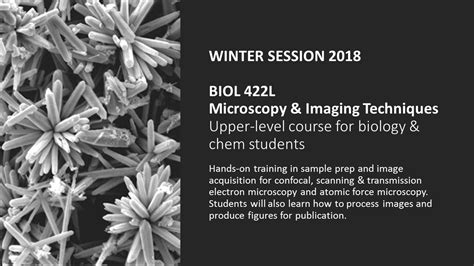 Biol 422l Microscopy And Imaging Techniques News Department Of