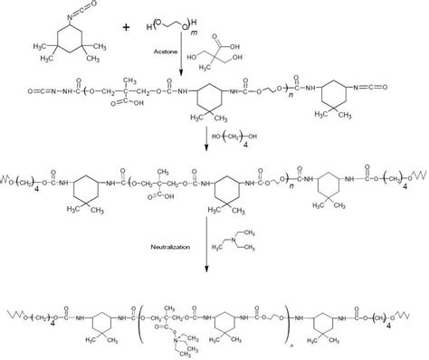 Reaction Scheme Of Water Soluble Polyurethane Wspu Production
