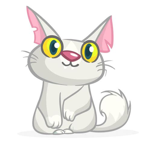 110 fat persian cat cartoon illustrations royalty free vector graphics and clip art istock