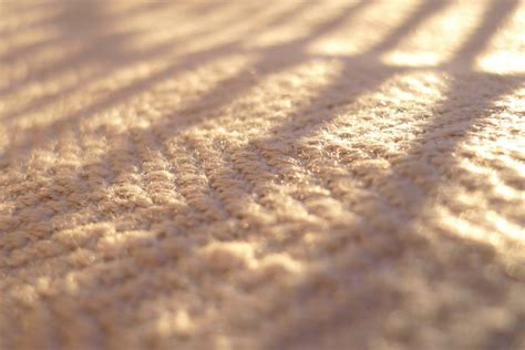 Free Images Wood Sunlight Texture Leaf Desert Asphalt Line