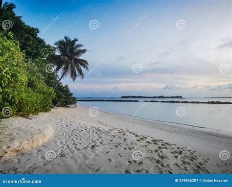 Sunrise On The Beach Of A Tropical Island Maldives Stock Image Image