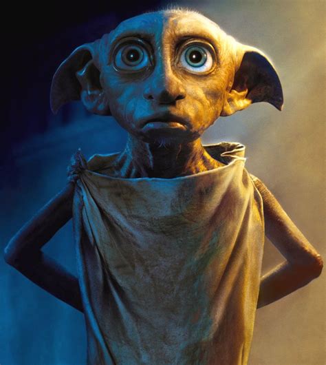 Dobby Harry Potter Wiki Fandom Powered By Wikia Dobby Harry Potter