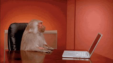 I can't think of any story where that has happened. Boardroom Baboon Office Meme Creators Interview | Complex