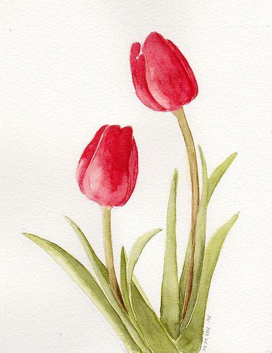 Tulips Watercolor Flowers Paintings Watercolor Tulips Flower Art