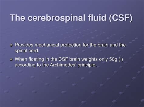 Ppt Blood Supply To The Brain The Cerebrospinal Fluid Csf