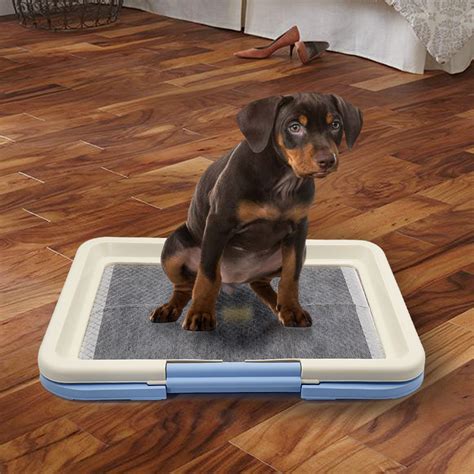 Dog Toilet Training Pad Holder Tray Potty Indoor Pee Wee Floor