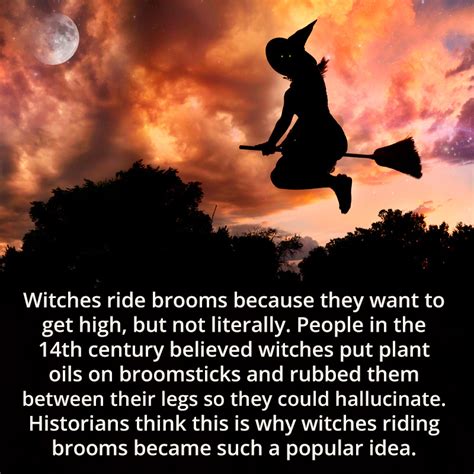 Weird Facts — Witches Ride Brooms Because They Want To Get High