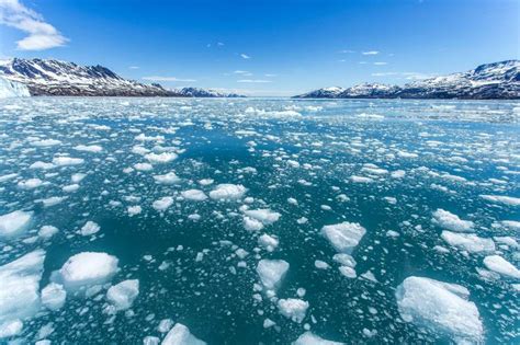 Los Cient Ficos Alertan Del Impacto De La Subida Del Nivel Del Mar En